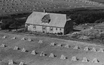 Mosevang (Kjærmarkshus) – Tvedvej 79