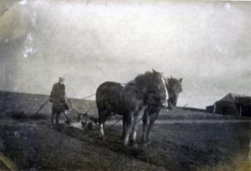 Den vestjyske lynghede
